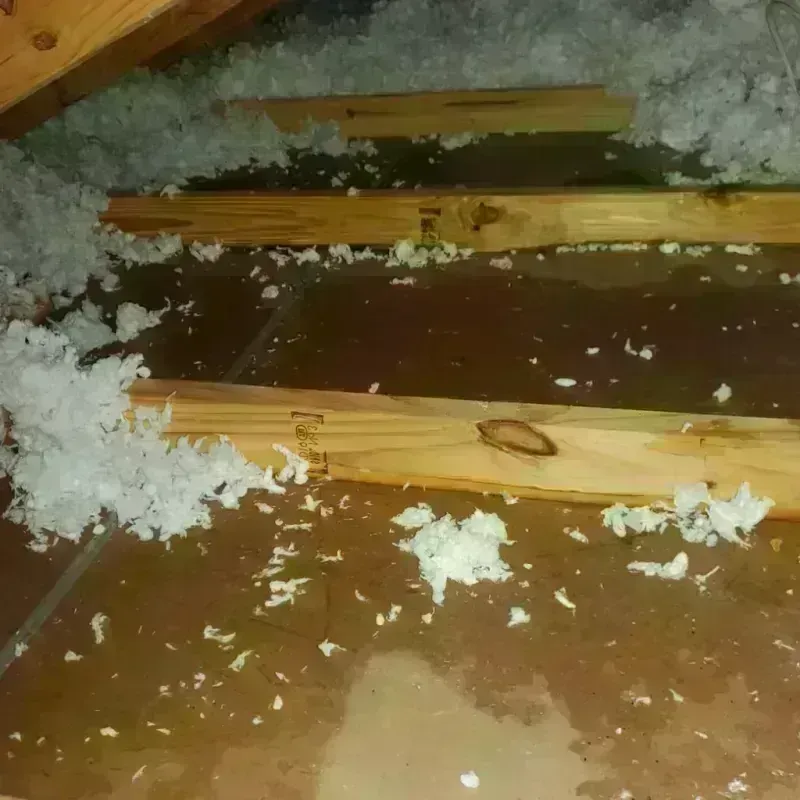 Attic Water Damage in Hilltop Lakes, TX