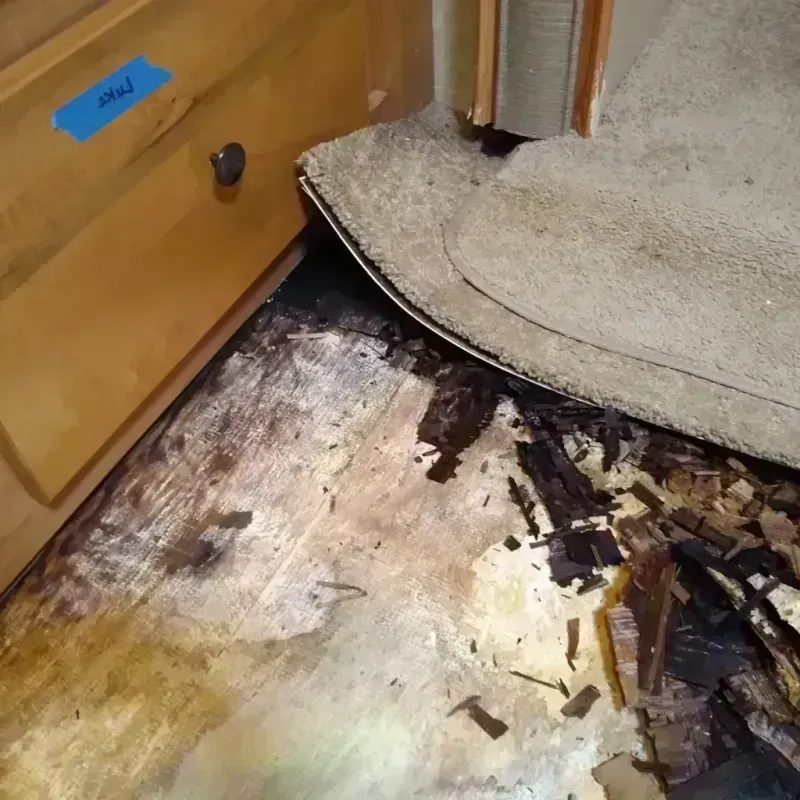 Wood Floor Water Damage in Hilltop Lakes, TX